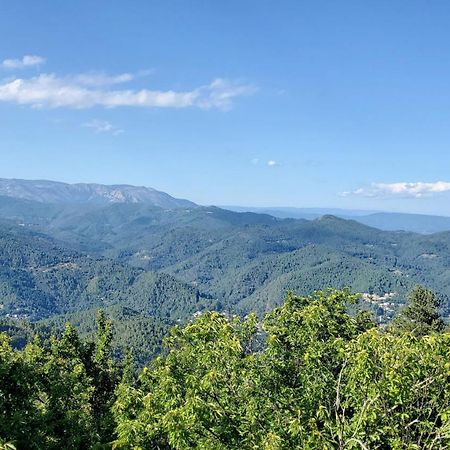 Saint-Privat-de-Vallongue Gite De Combelebouze En Cevennes - Cosy, Confort Et Climatise - 3 Etoiles מראה חיצוני תמונה