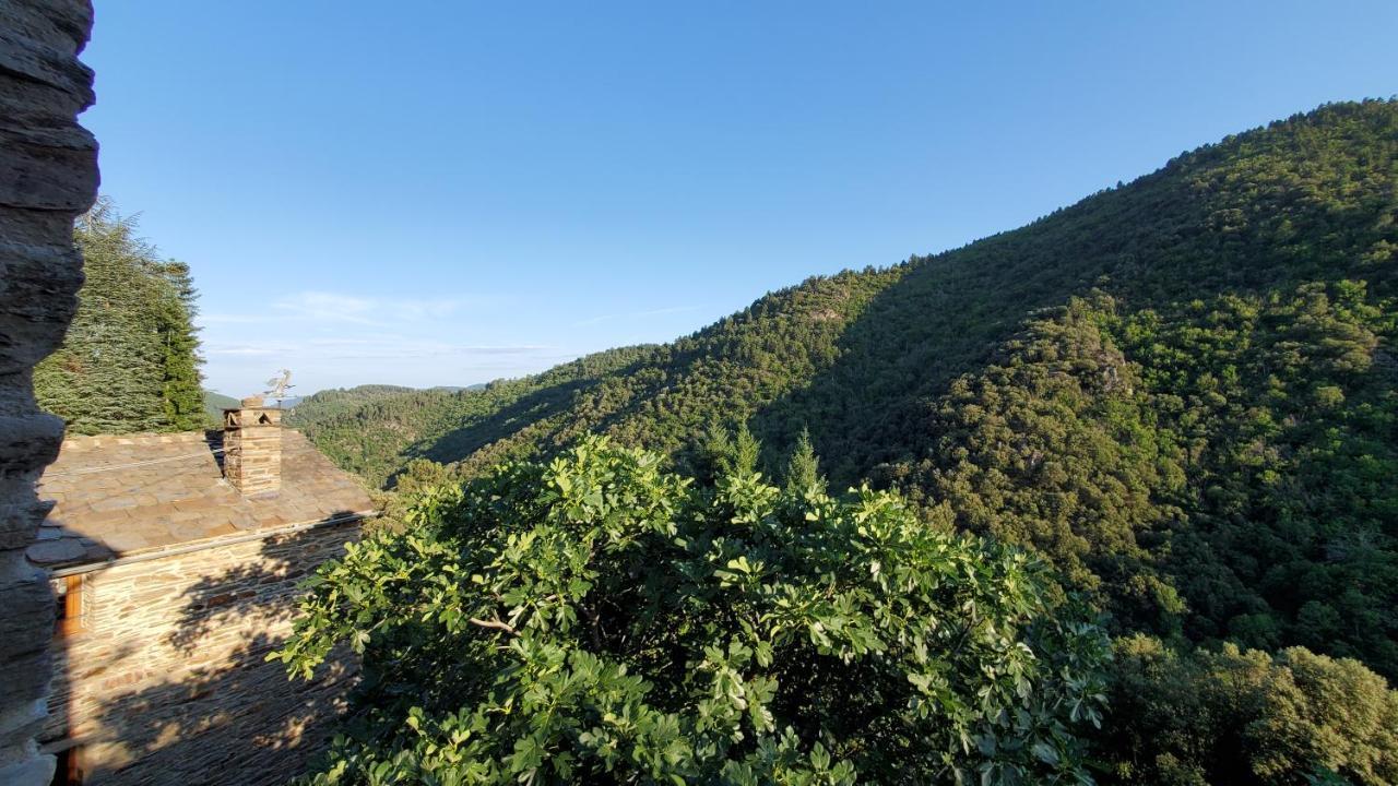 Saint-Privat-de-Vallongue Gite De Combelebouze En Cevennes - Cosy, Confort Et Climatise - 3 Etoiles מראה חיצוני תמונה