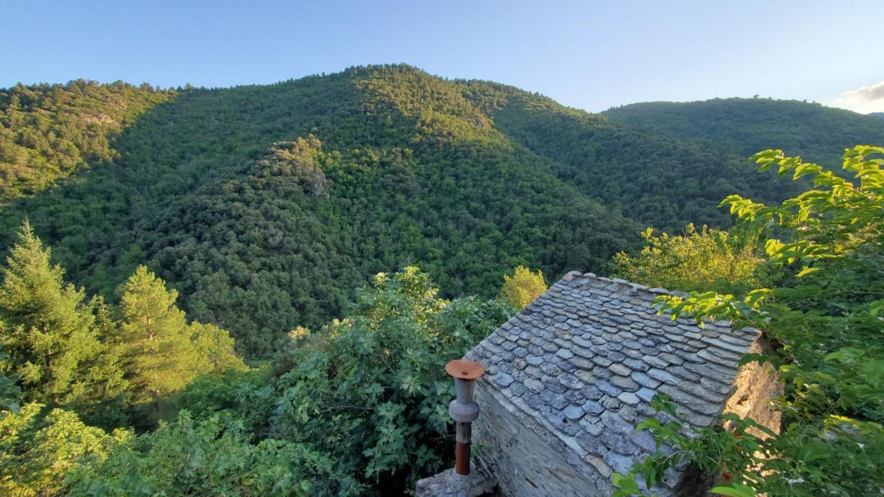 Saint-Privat-de-Vallongue Gite De Combelebouze En Cevennes - Cosy, Confort Et Climatise - 3 Etoiles מראה חיצוני תמונה