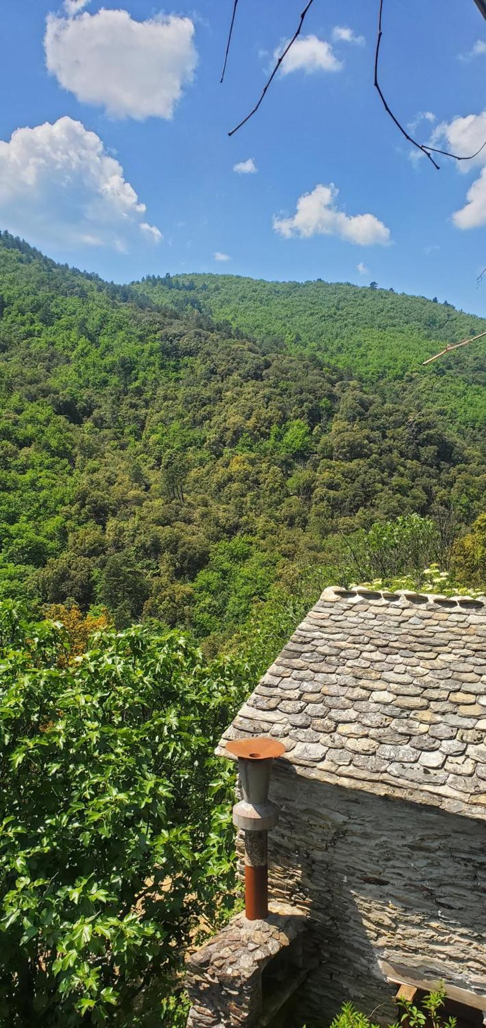 Saint-Privat-de-Vallongue Gite De Combelebouze En Cevennes - Cosy, Confort Et Climatise - 3 Etoiles מראה חיצוני תמונה