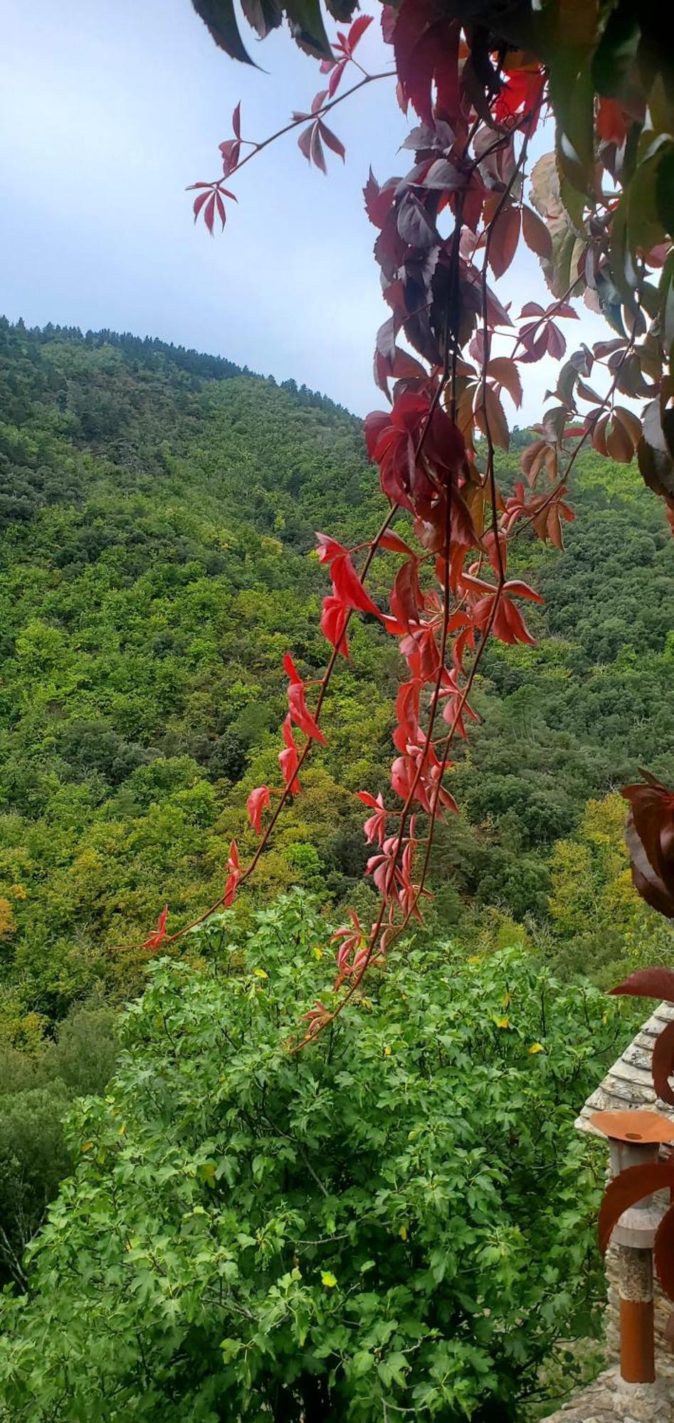 Saint-Privat-de-Vallongue Gite De Combelebouze En Cevennes - Cosy, Confort Et Climatise - 3 Etoiles מראה חיצוני תמונה