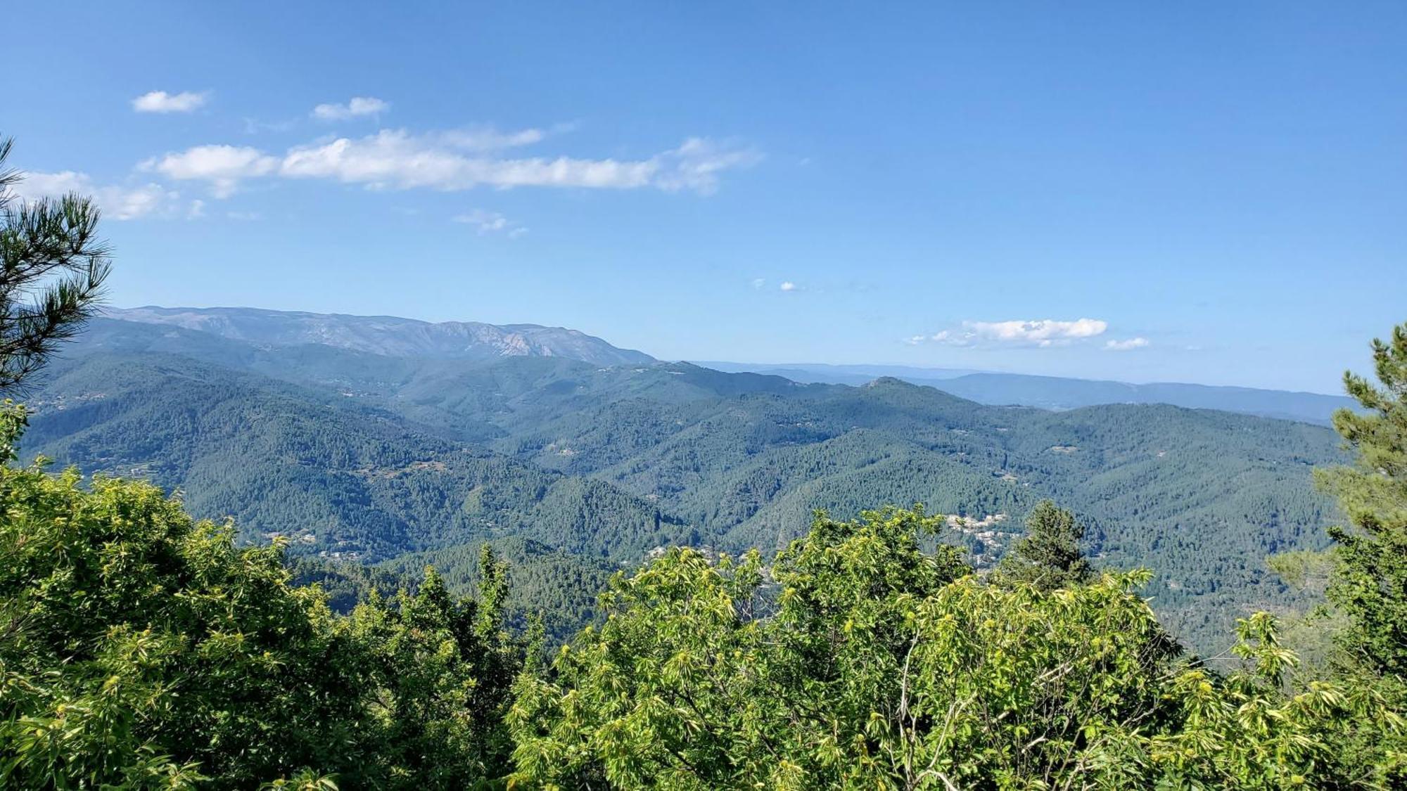 Saint-Privat-de-Vallongue Gite De Combelebouze En Cevennes - Cosy, Confort Et Climatise - 3 Etoiles מראה חיצוני תמונה
